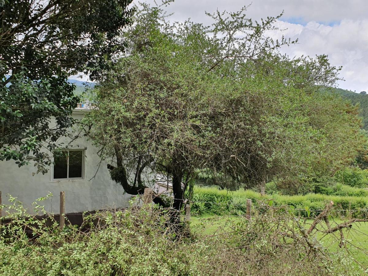 Casas De Raco别墅 外观 照片